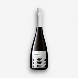 "Chiaror sul Masso" Vin...