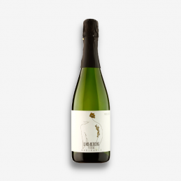 "Le Mie Abitudini"...