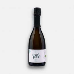 "Scapolè" Pecorino Vino...