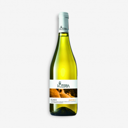 "Anfora" Gavi DOCG del...
