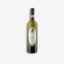 Roero Arneis DOCG - Dario...