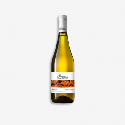 "Terrarossa" Gavi DOCG del...