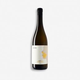 "Amforeas" Trebbiano Puglia...