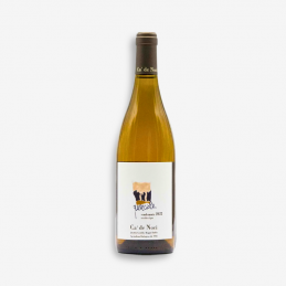 "Querciole" Sparkling White...