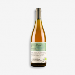 "Kyathos del Poggio" Vino...